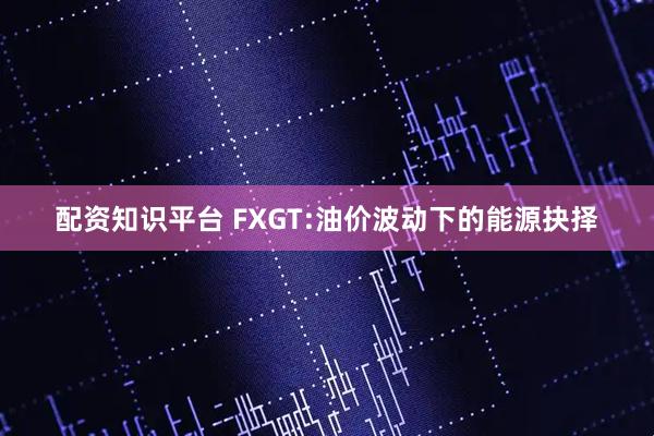 配资知识平台 FXGT:油价波动下的能源抉择