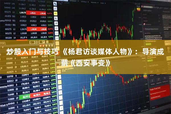 炒股入门与技巧 《杨君访谈媒体人物》：导演成荫《西安事变》